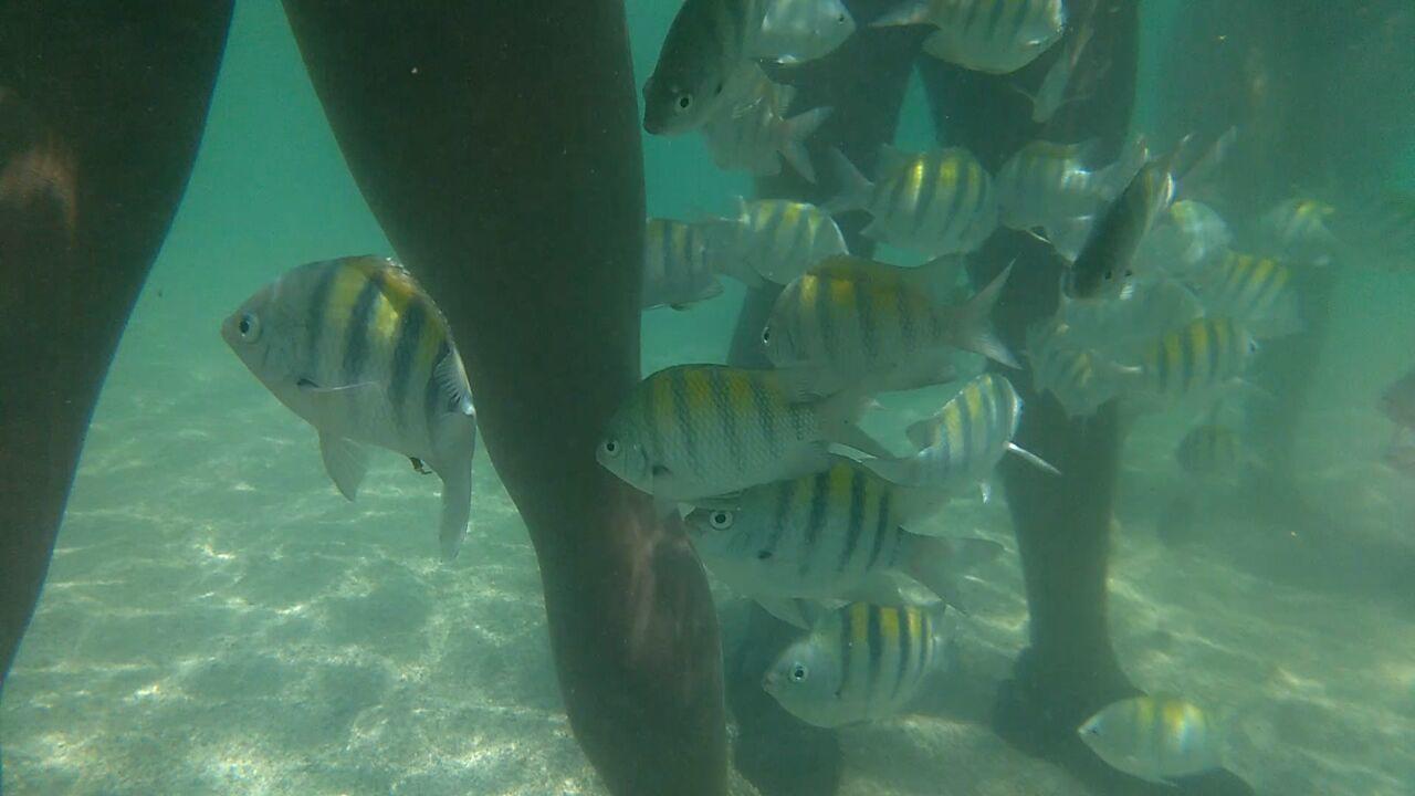 Pousada Casanossa Boipeba Island Exterior foto